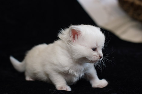 Sally am 8.6.2014